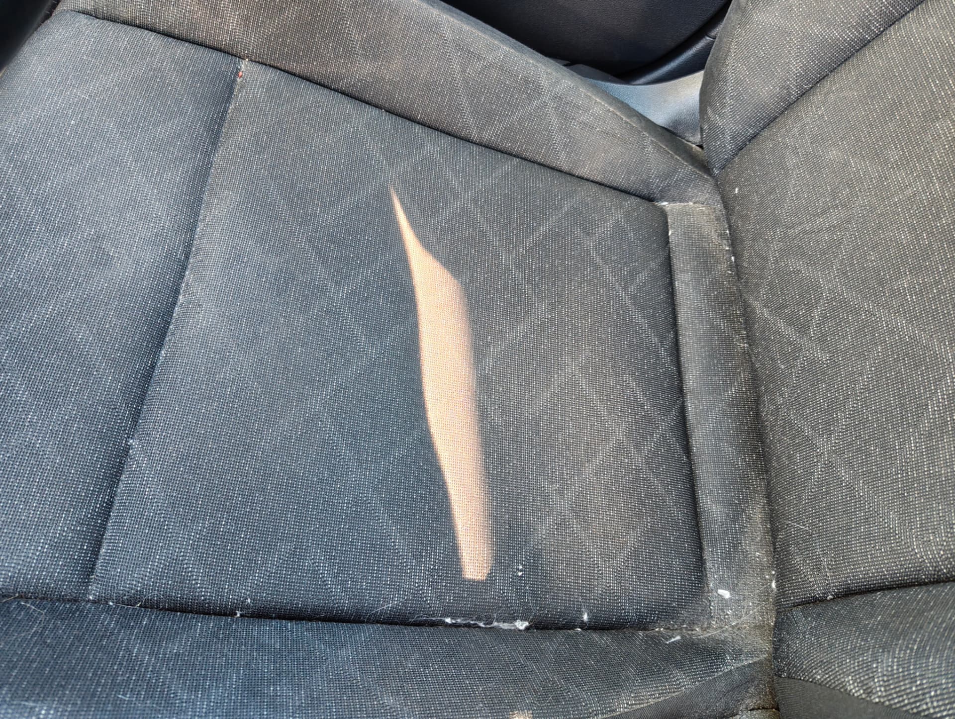 Golf fabric seat with pet hair and debris trapped in the weave before extraction
