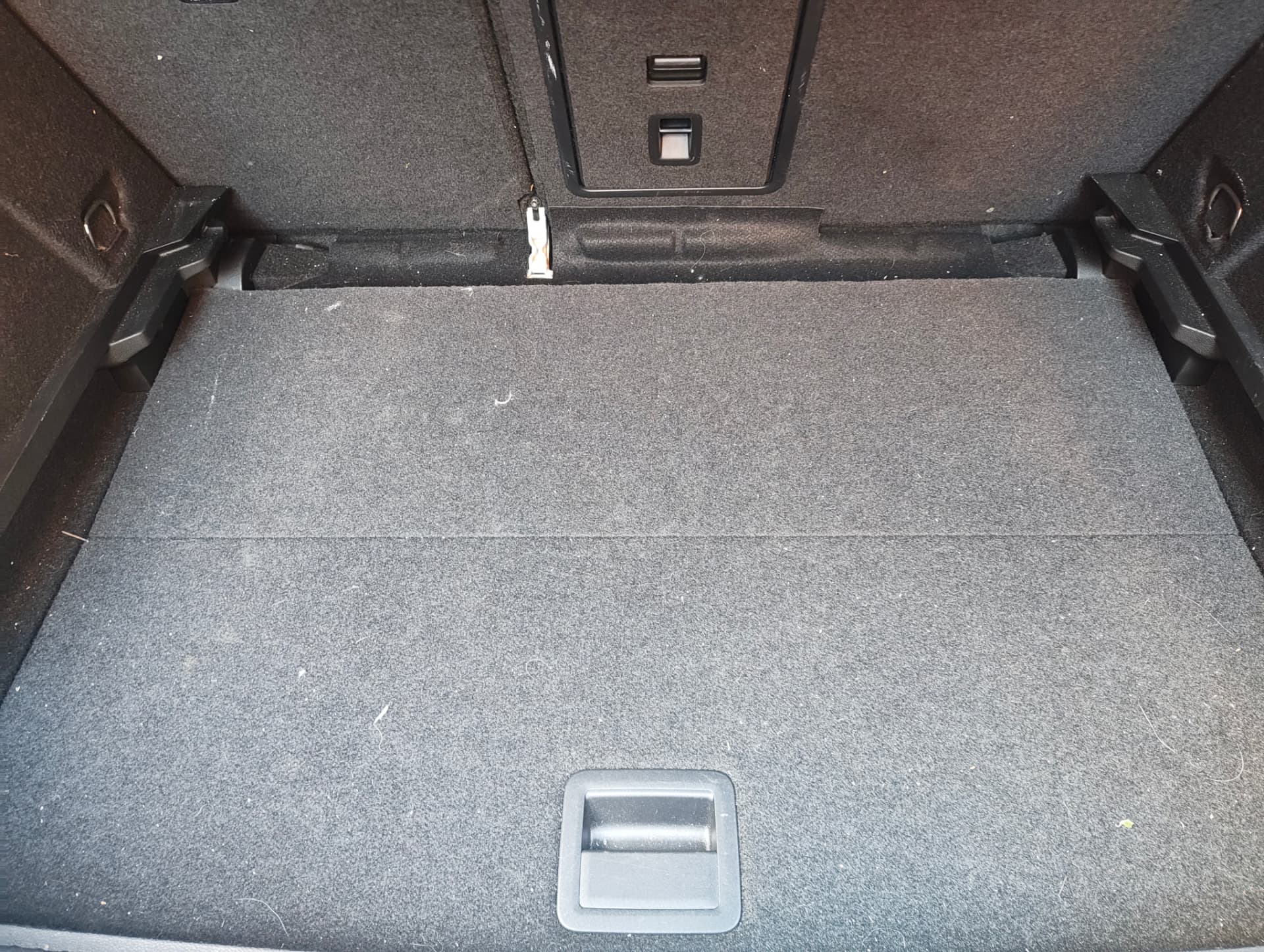 Golf boot carpet with lint and hair before extraction